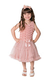 Little Girl's Vintage Dusty Rose Petti Tutu Dress