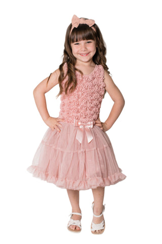 Little Girl's Vintage Dusty Rose Petti Tutu Dress