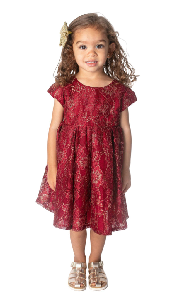 Baby Girls and Little Girls Burgundy Lace Dress