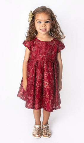 Popatu Baby Girls and Little Girls Burgundy Lace Dress
