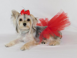 Pawpatu Handcrafted Red Tulle Tutu with Adjustable Ribbon for Pets