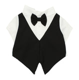 Pawpatu Black and White Wedding Shirt with Bow Tie for Pets