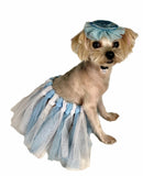 Pawpatu Mermaid Tutu with Headband Set