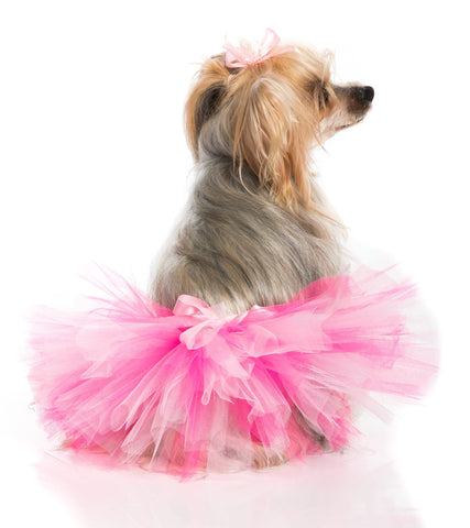 Pawpatu Handcrafted Pink/Hp Tulle Tutu with Adjustable Ribbon for Pets