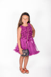 Little Girl's Purple Petti Tutu Ruffle Dress