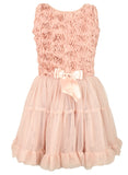 Little Girl's Vintage Dusty Rose Petti Tutu Dress