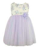 Baby Girls Lavender Tulle Dress