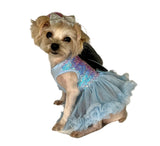 Pawpatu Blue Butterfly Sequins Pet Costume Dress