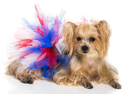 Pawpatu Handcrafted Red/White/Blue Tulle Tutu with Adjustable Ribbon for Pets