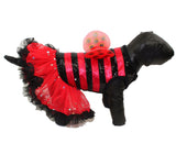 Pawpatu Red Lady Bug Costume Petti Dress for Pets