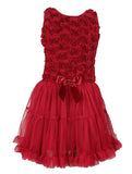 Baby Girl's & Little Girl's Burgundy Petti Tutu Ruffle Dress