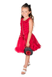 Baby Girl's & Little Girl's Burgundy Petti Tutu Ruffle Dress