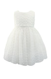 Little Girl's Ruffle Embroidered Tulle Dress