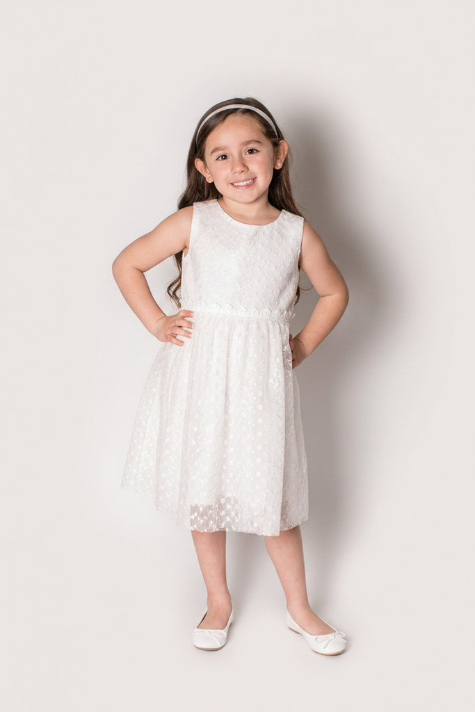 Little Girl's Ruffle Embroidered Tulle Dress
