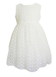 Little Girl's Ruffle Embroidered Tulle Dress