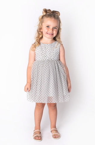 Popatu Baby Girl's Silver Swiss Dot Tulle Dress