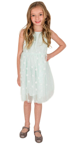 Baby Girl's Mint Tulle Dress