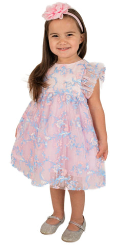Baby Girl's and Little Girl's Pink and Blue Embroidered Dress