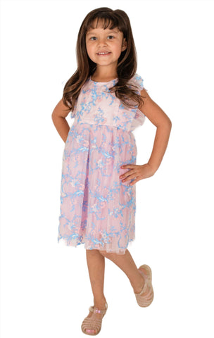 Azul Pink Baby Girl's and Little Girl's Pink and Blue Embroidered Dress– Popatu