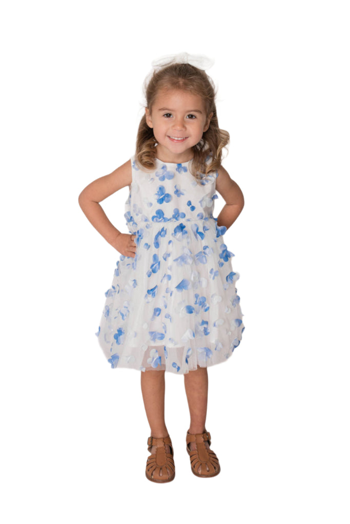 Baby Girl's Blue Butterflies Flower Girl Dress