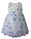 Baby Girl's Blue Butterflies Flower Girl Dress