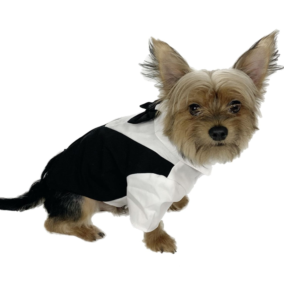 Pawpatu Black and White Wedding Shirt with Bow Tie for Pets
