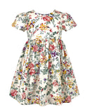 Baby Girl's Multi Color Floral Dress