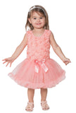 Little Girl's Peach Rosette Petti Tutu Dress