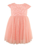 Popatu Baby Girls Peach Embroidered Tulle Dress