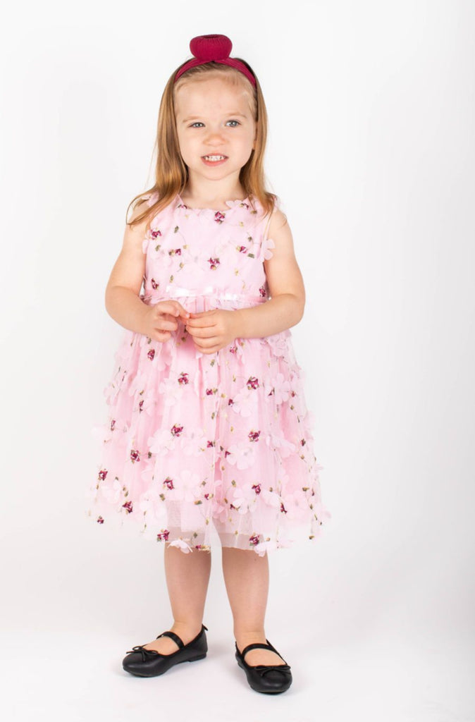 Popatu Baby Girls Pink Floral Dress With Flower Petals