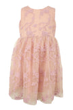 Popatu Baby Girl's & Little Girl's Embroidered Dusty Rose Dress
