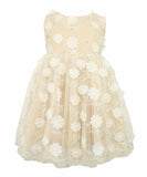 Popatu Baby & Little Girl's 3D Floral Overlay Dress