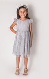 Popatu Little Girl's Silver Embroidered Dress