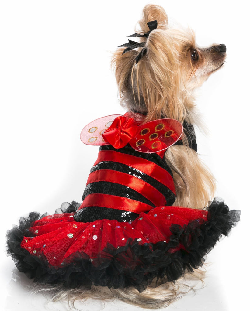 Pawpatu Red Lady Bug Costume Petti Dress for Pets